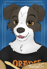 Border Collie for @AndrewRoo18